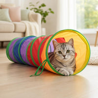 Gato jugando dentro del tunel Zuppy en un salon luminoso