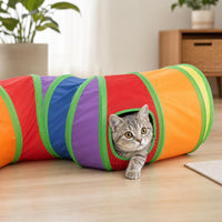 Gato asomandose por la ventana lateral del tunel Zuppy