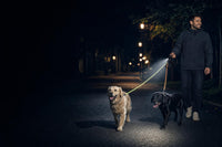 Paseo nocturno con la linterna LED encendida